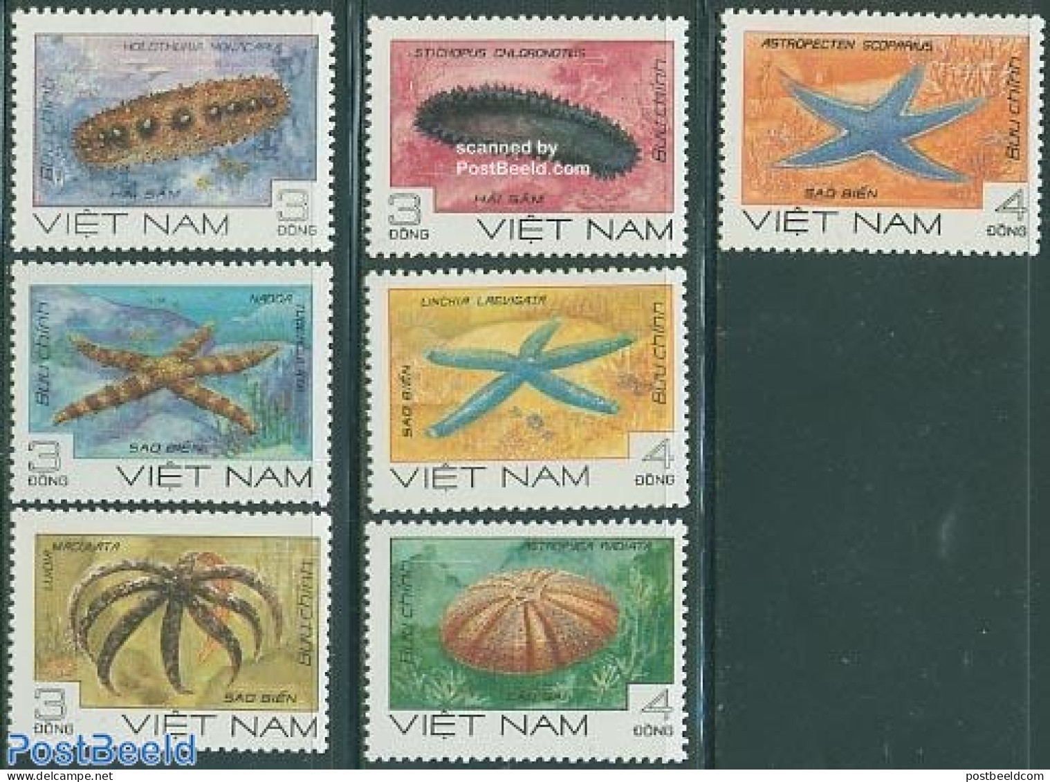 Vietnam 1985 Marine Life 7v, Mint NH, Nature - Shells & Crustaceans - Vie Marine