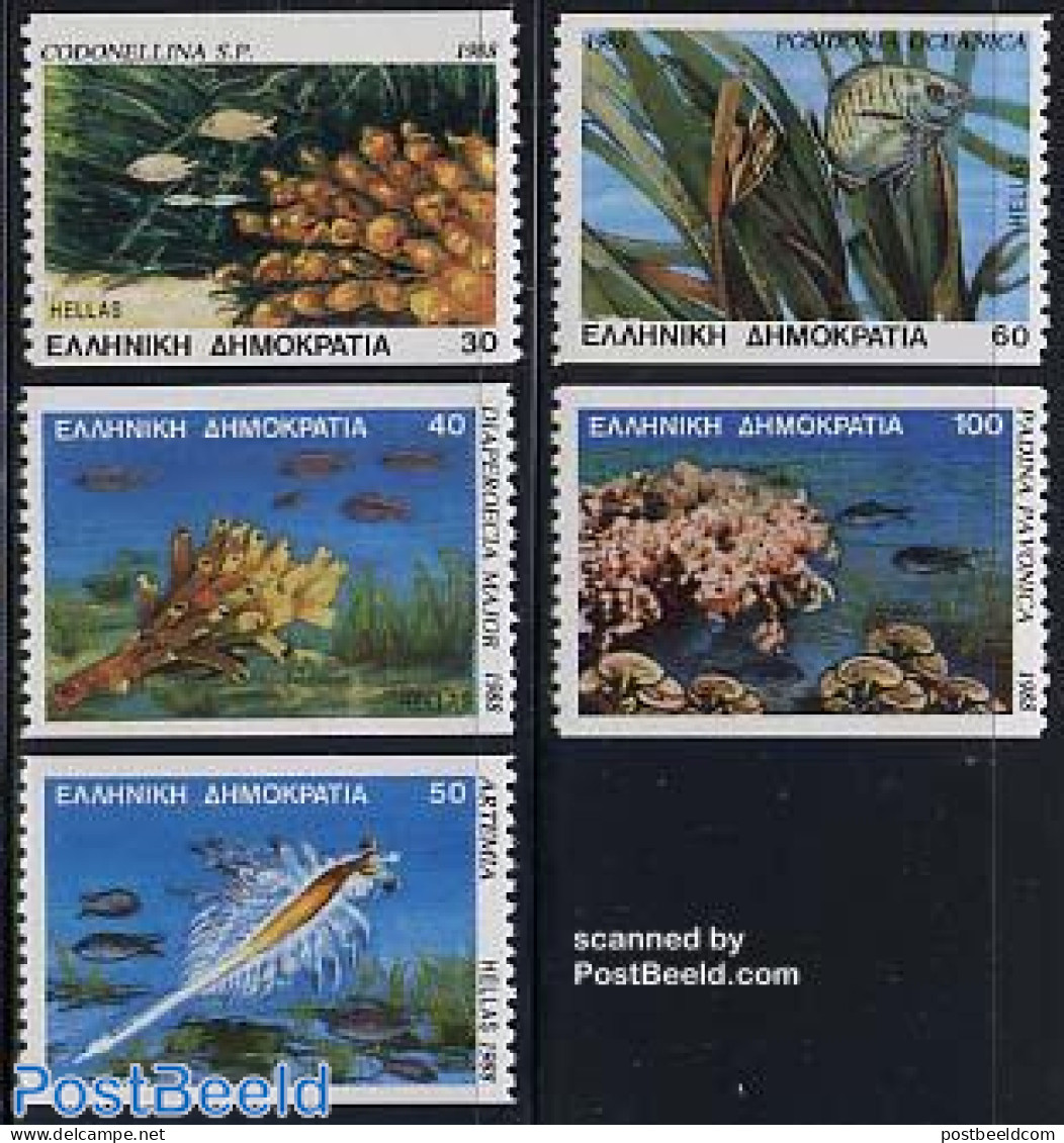 Greece 1988 Marine Life Coil 5v, Mint NH, Nature - Fish - Unused Stamps