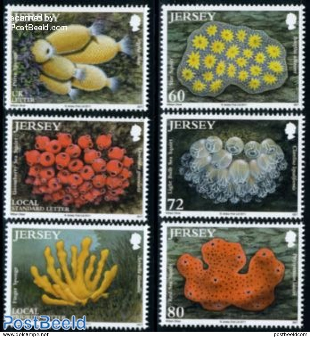 Jersey 2011 Marine Life, Sea Squirts And Sponges 6v, Mint NH, Nature - Shells & Crustaceans - Maritiem Leven