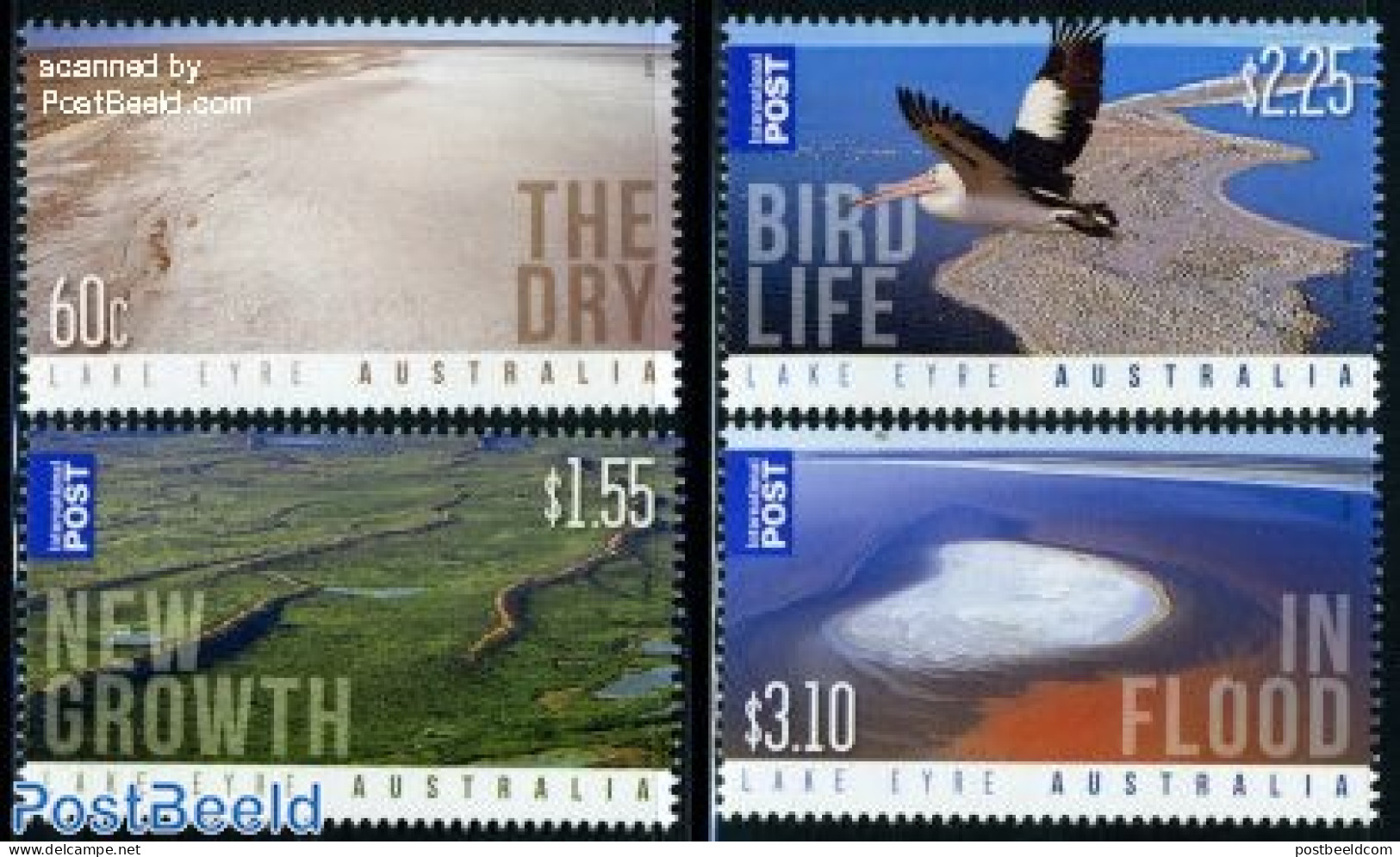 Australia 2011 Lake Eyre 4v, Mint NH, Nature - Birds - Nuovi