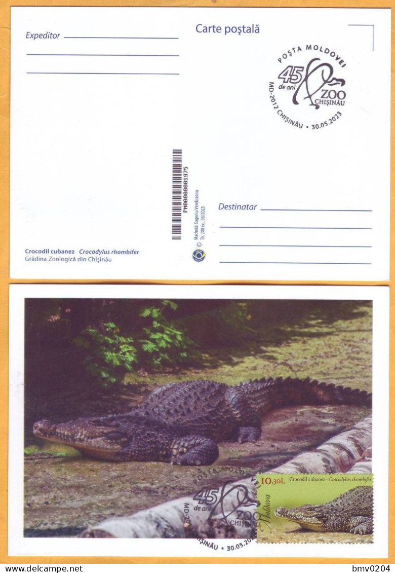 2023  Moldova MAXICARD 10.30 „Faune. Chisinau Zoological Garden”  Cuban Crocodile (Crocodylus Rhombifer) - Moldavie