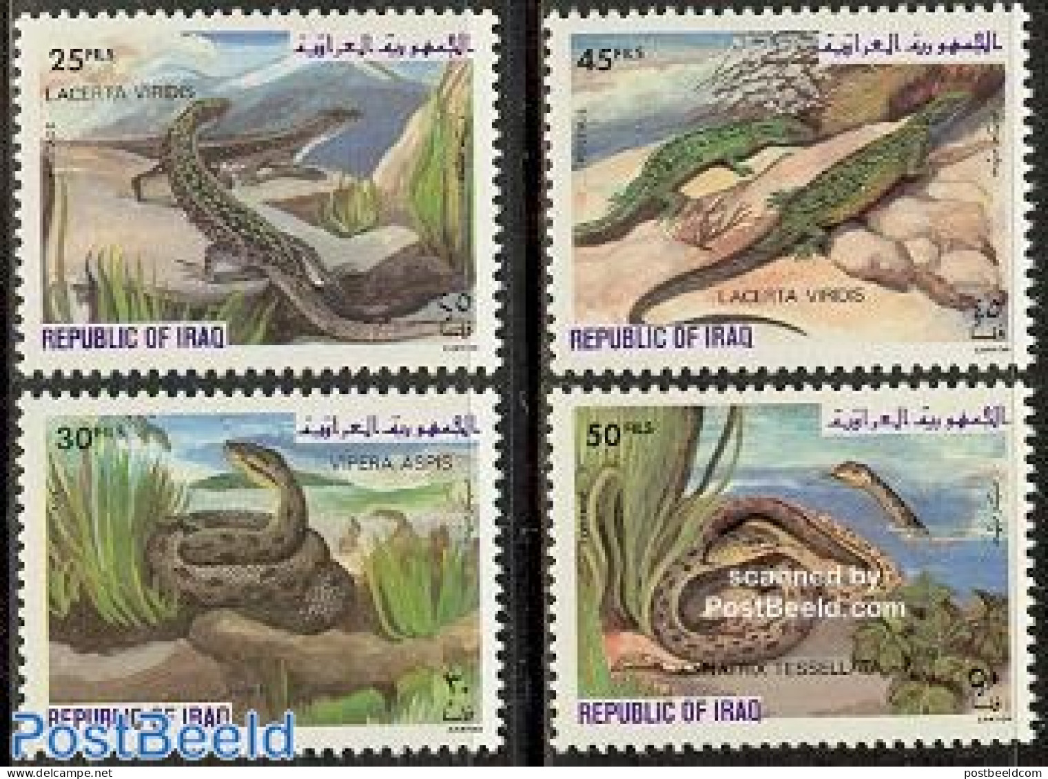 Iraq 1982 Reptiles 4v, Mint NH, Nature - Reptiles - Snakes - Iraq