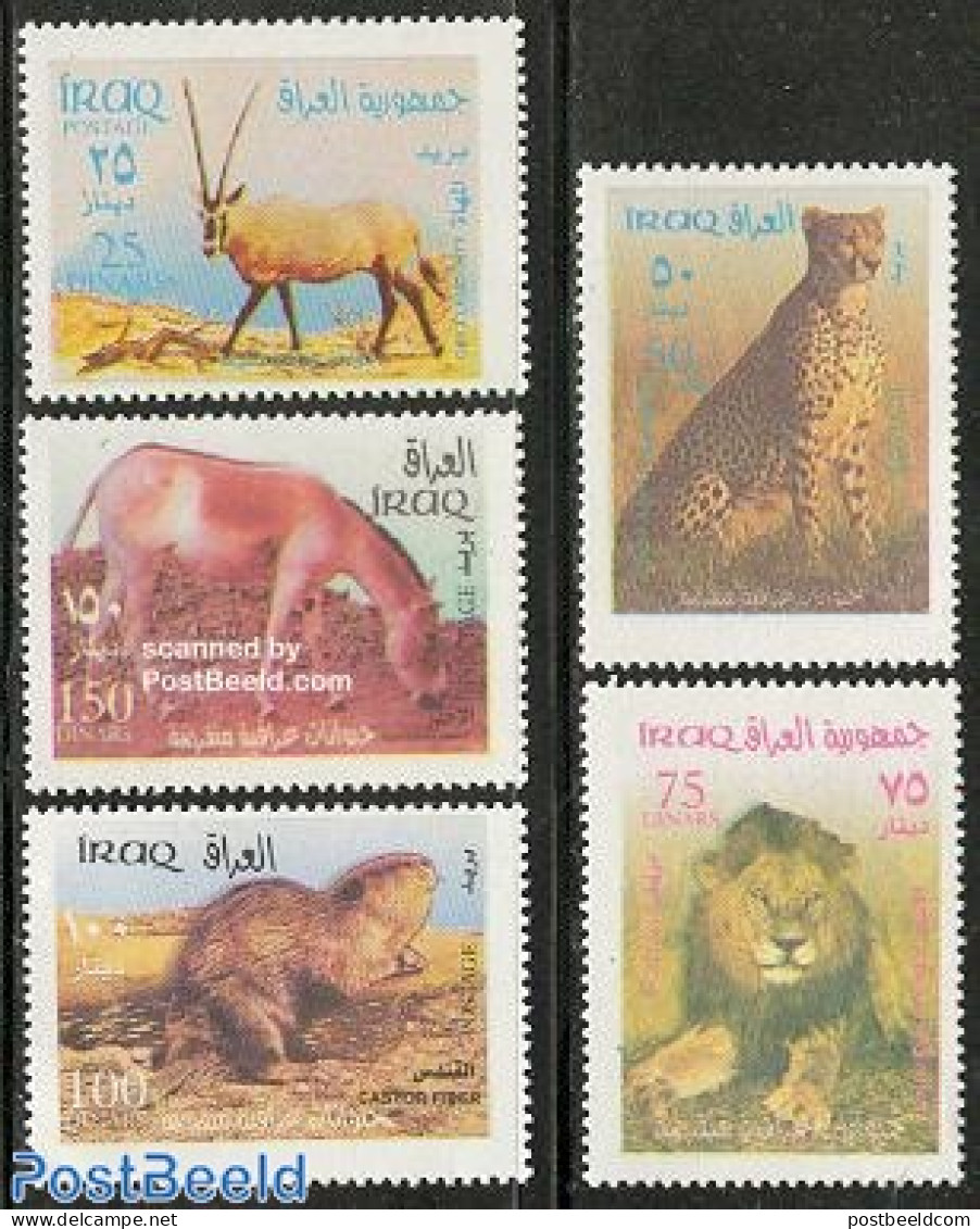 Iraq 2003 Animals 5v, Mint NH, Nature - Animals (others & Mixed) - Cat Family - Iraq