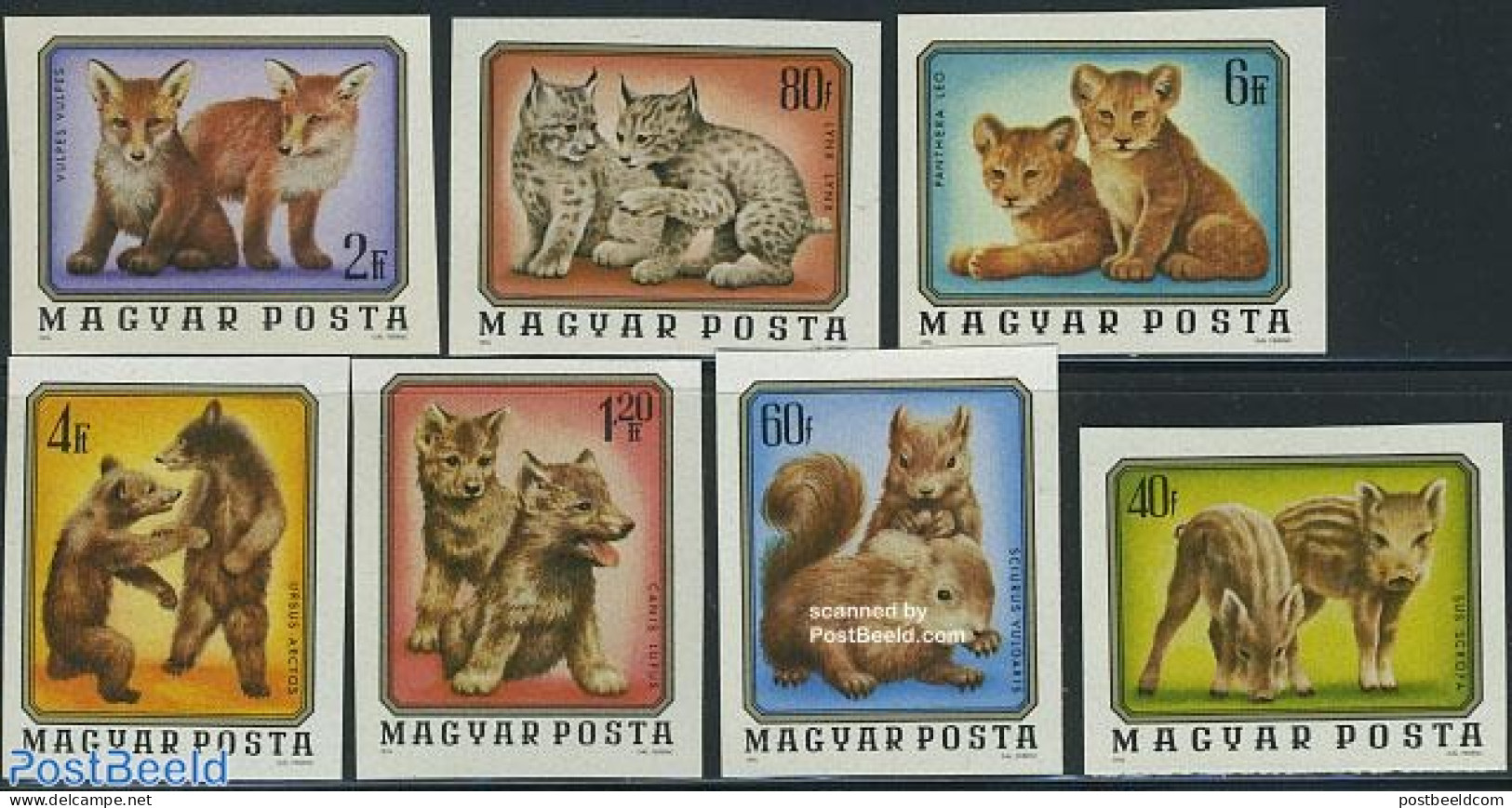 Hungary 1976 Young Animals 7v Imperforated, Mint NH, Nature - Animals (others & Mixed) - Bears - Cat Family - Ungebraucht
