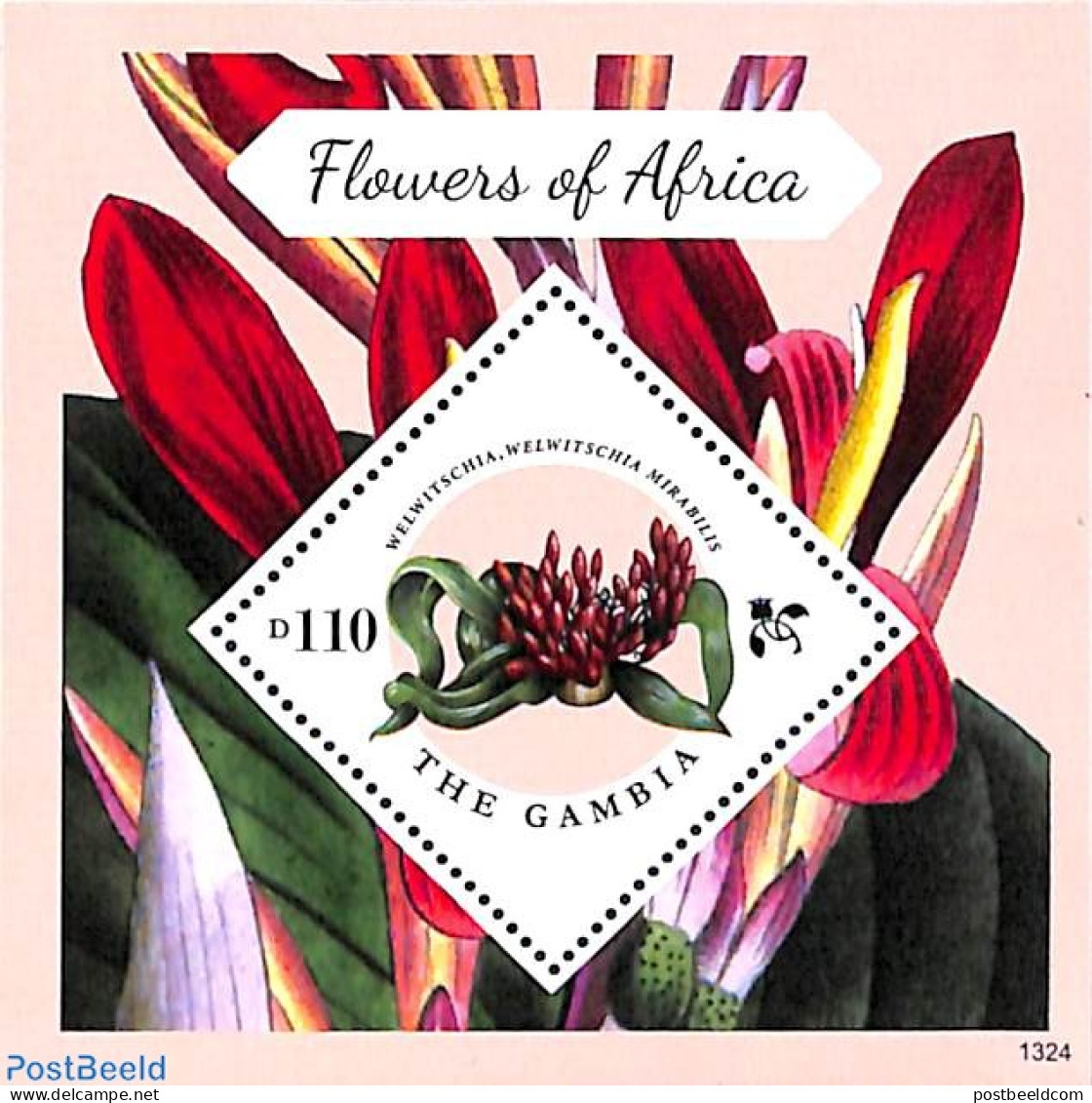 Gambia 2013 Flowers Of Africa S/s, Mint NH, Nature - Flowers & Plants - Gambie (...-1964)
