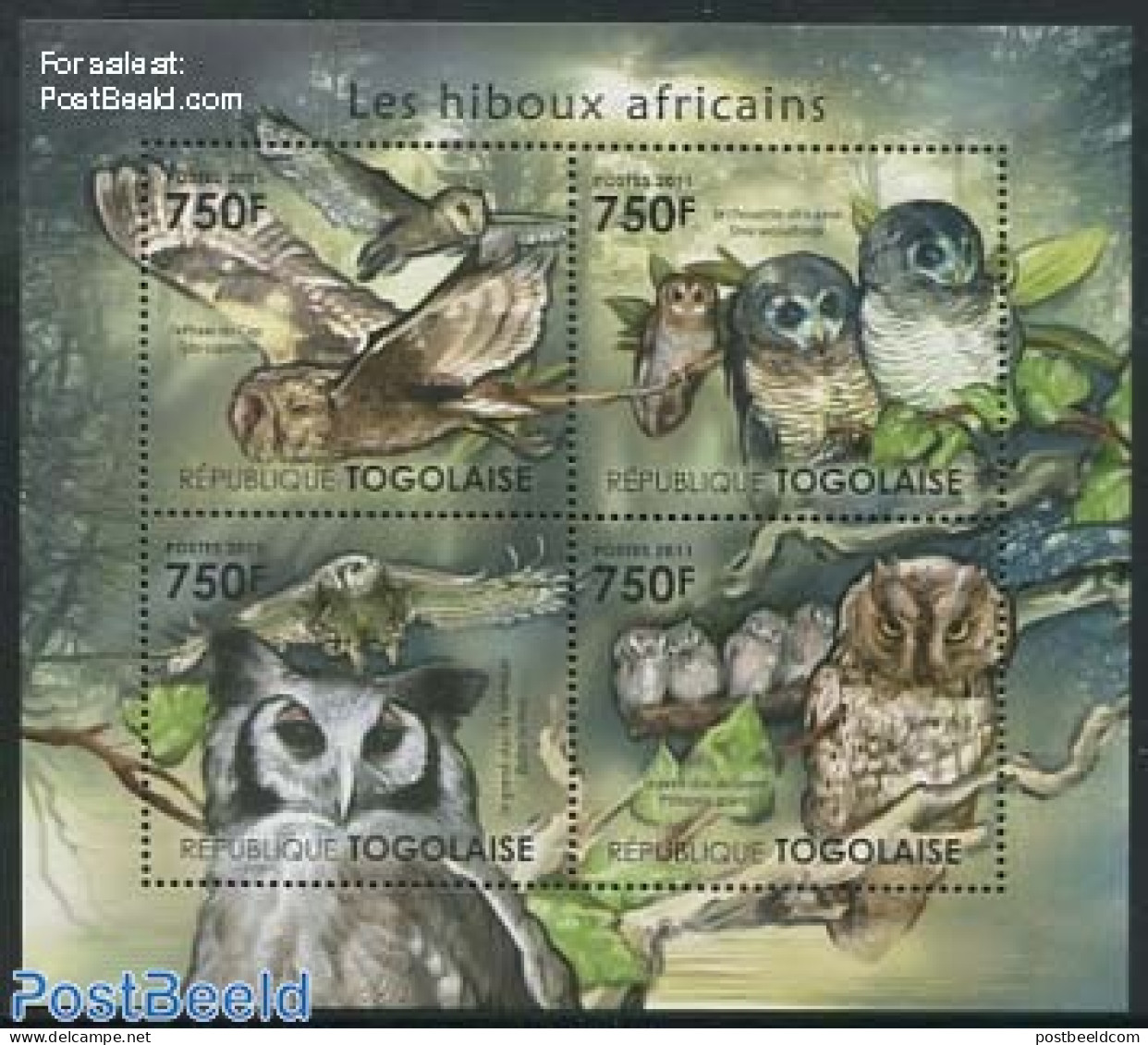 Togo 2011 African Owls 4v M/s, Mint NH, Nature - Birds - Birds Of Prey - Owls - Togo (1960-...)