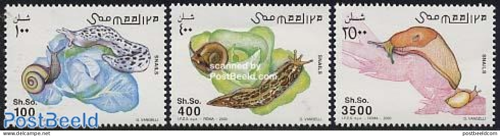 Somalia 2003 Snails 3v, Mint NH, Nature - Shells & Crustaceans - Meereswelt