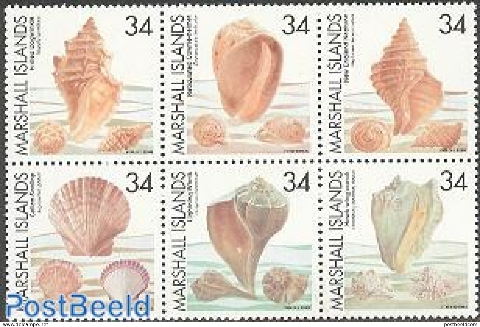 Marshall Islands 2002 Shells 6v [++], Mint NH, Nature - Shells & Crustaceans - Marine Life