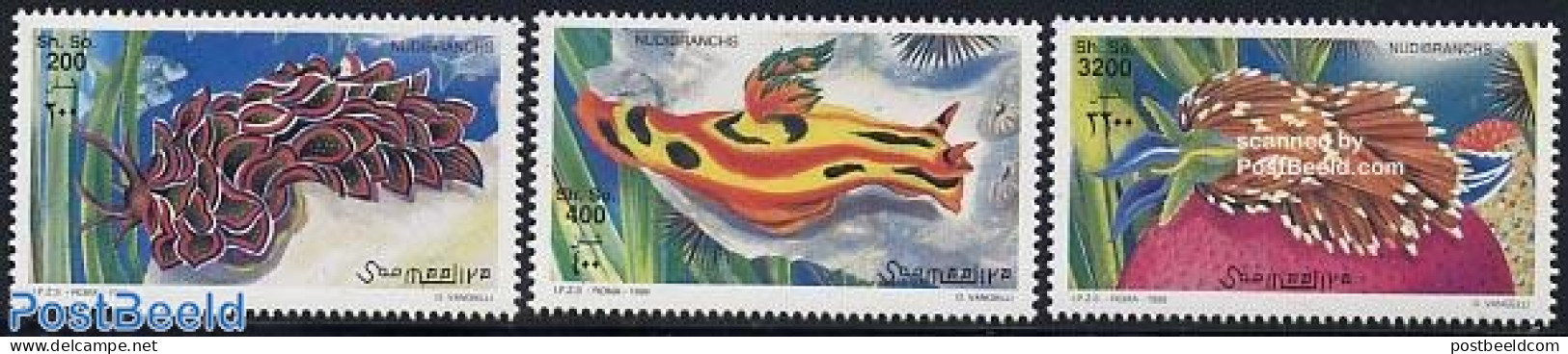 Somalia 1999 Nudibranches 3v, Mint NH, Nature - Somalia (1960-...)