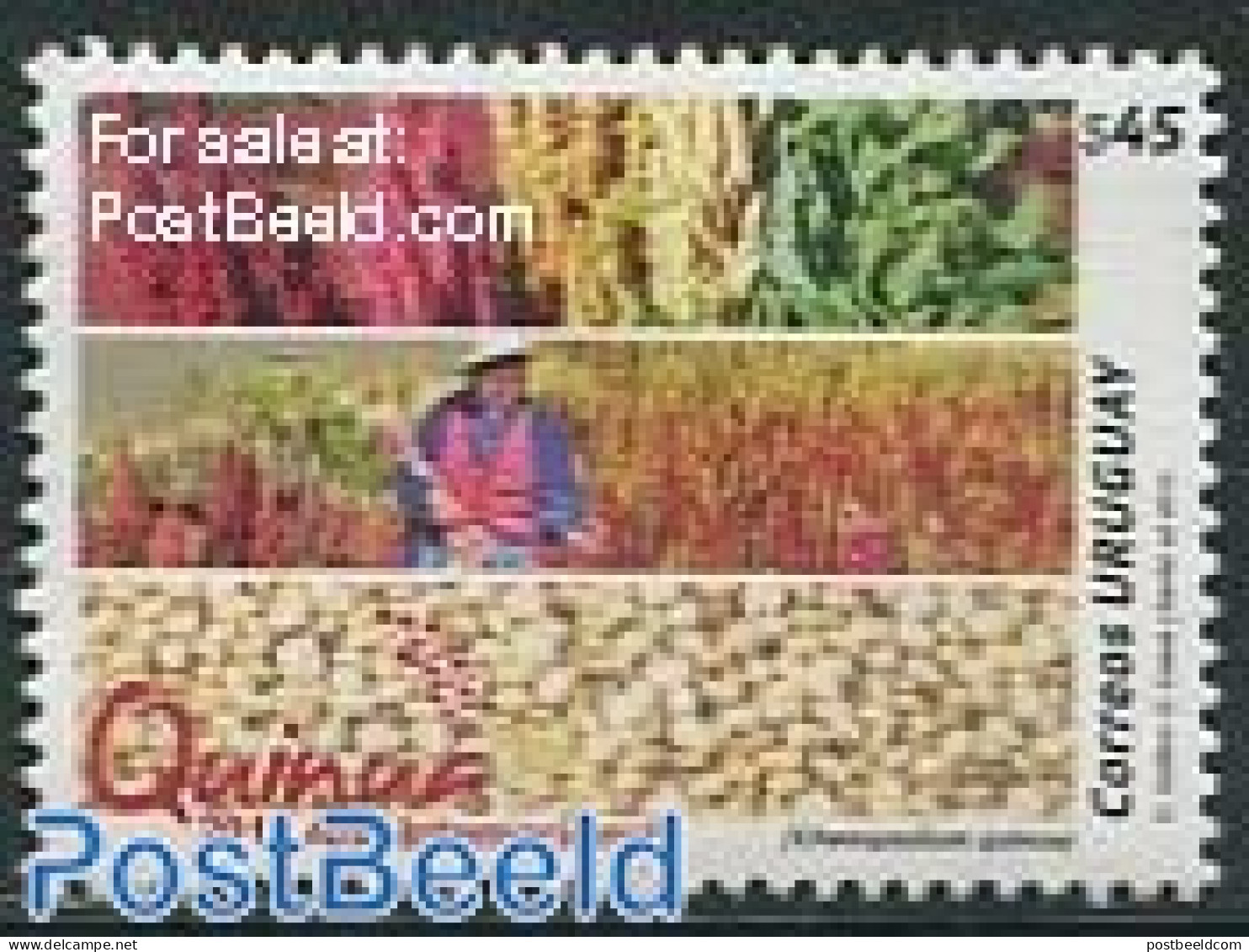 Uruguay 2013 Quinua 1v, Mint NH, Various - Agriculture - Agriculture