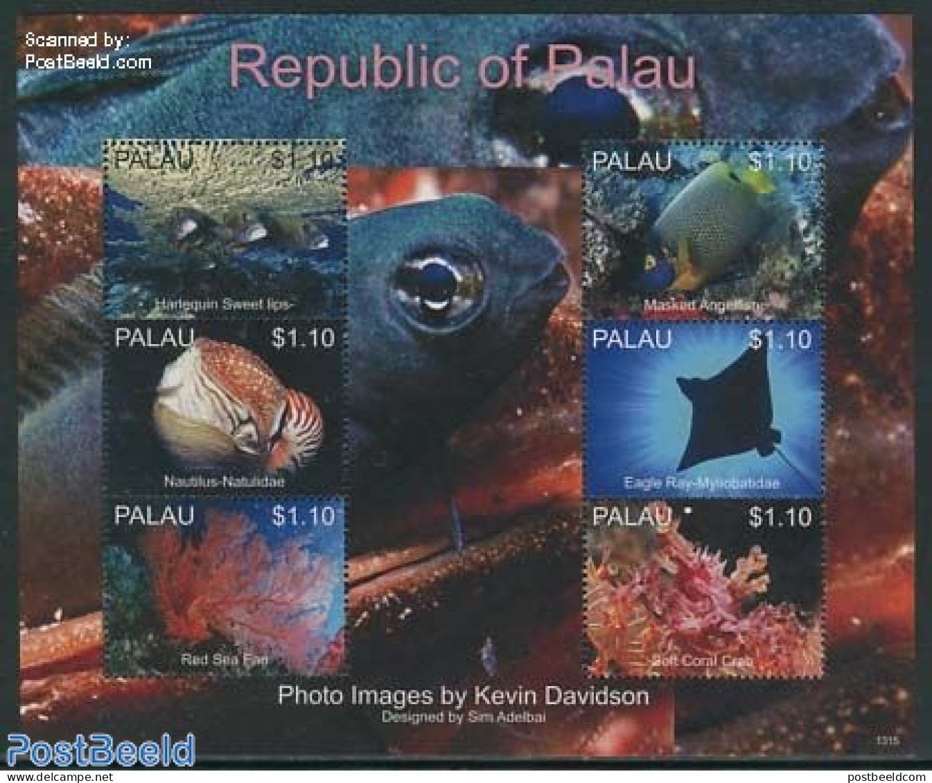 Palau 2013 Underwater Photography 6v M/s, Mint NH, Nature - Fish - Art - Photography - Poissons