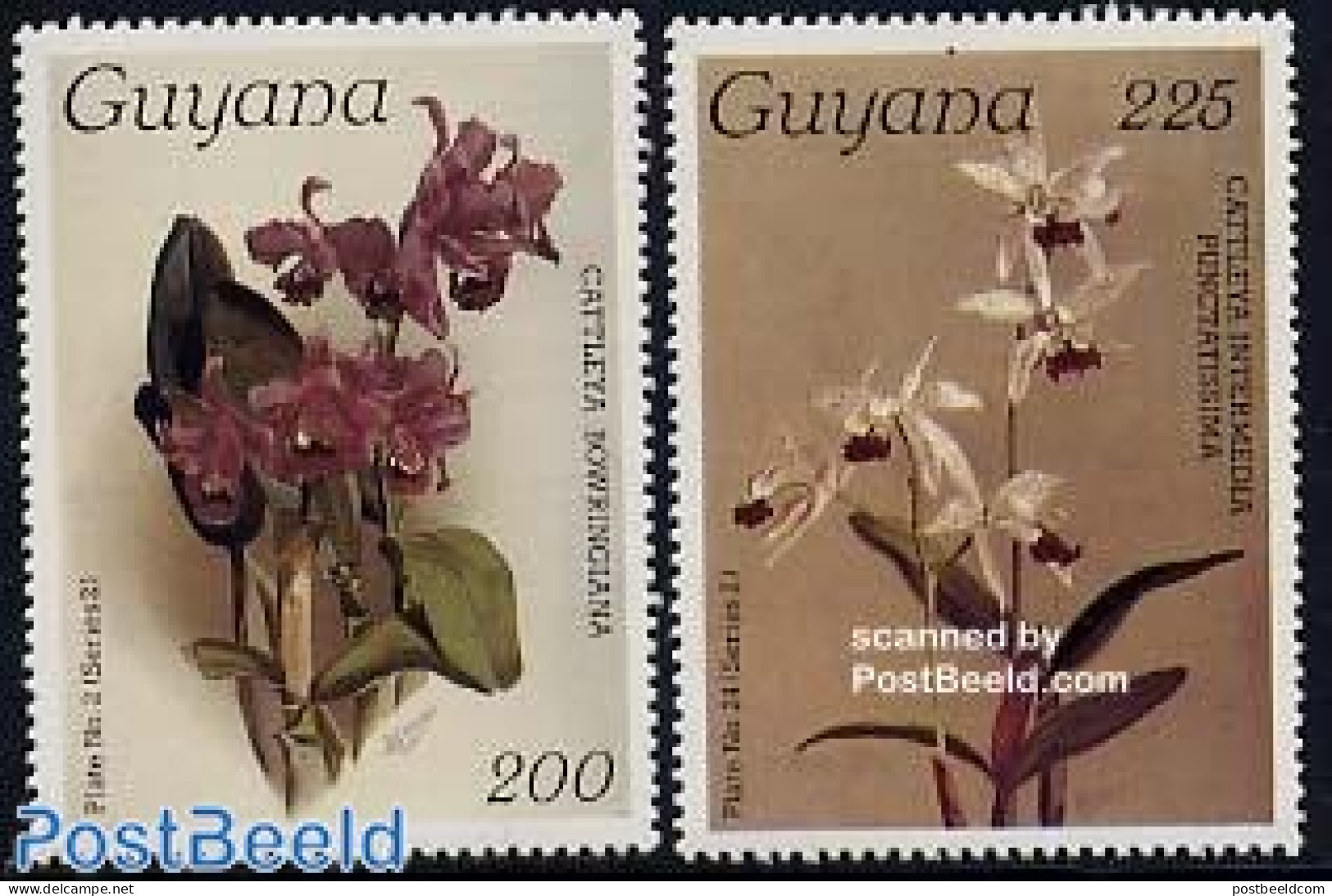Guyana 1986 Orchids 2v, Mint NH, Nature - Flowers & Plants - Orchids - Guyana (1966-...)