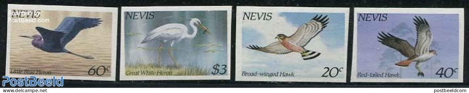 Nevis 1985 Birds 4v, Imperforated, Mint NH, Nature - Birds - Birds Of Prey - St.Kitts And Nevis ( 1983-...)