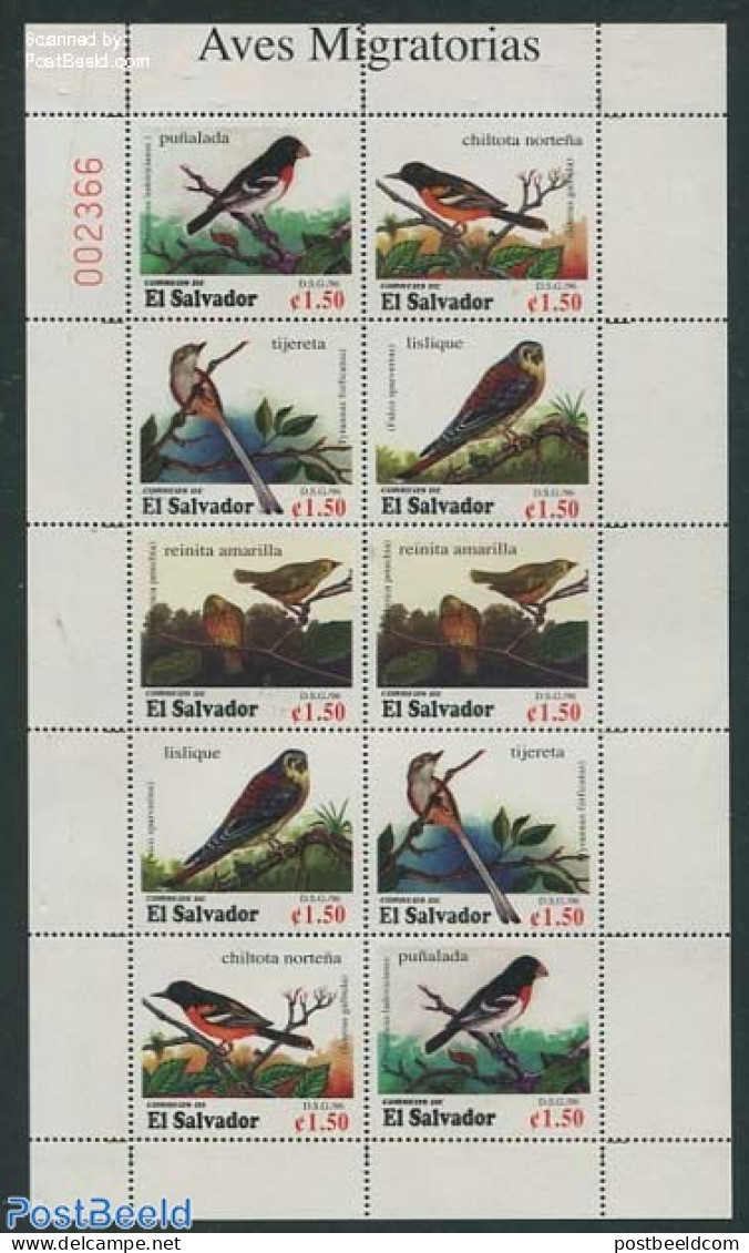El Salvador 1996 Migrating Birds 2x5v M/s, Mint NH, Nature - Birds - El Salvador