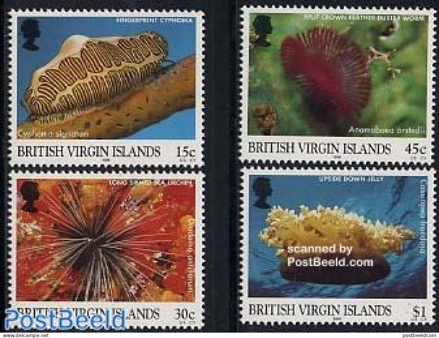 Virgin Islands 1998 Marine Life 4v, Mint NH, Nature - Shells & Crustaceans - Vie Marine