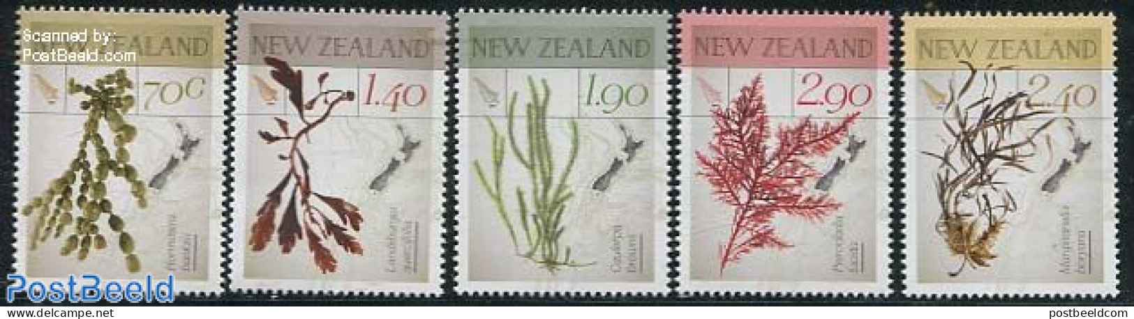 New Zealand 2014 Native Seaweeds 5v, Mint NH, Nature - Flowers & Plants - Neufs