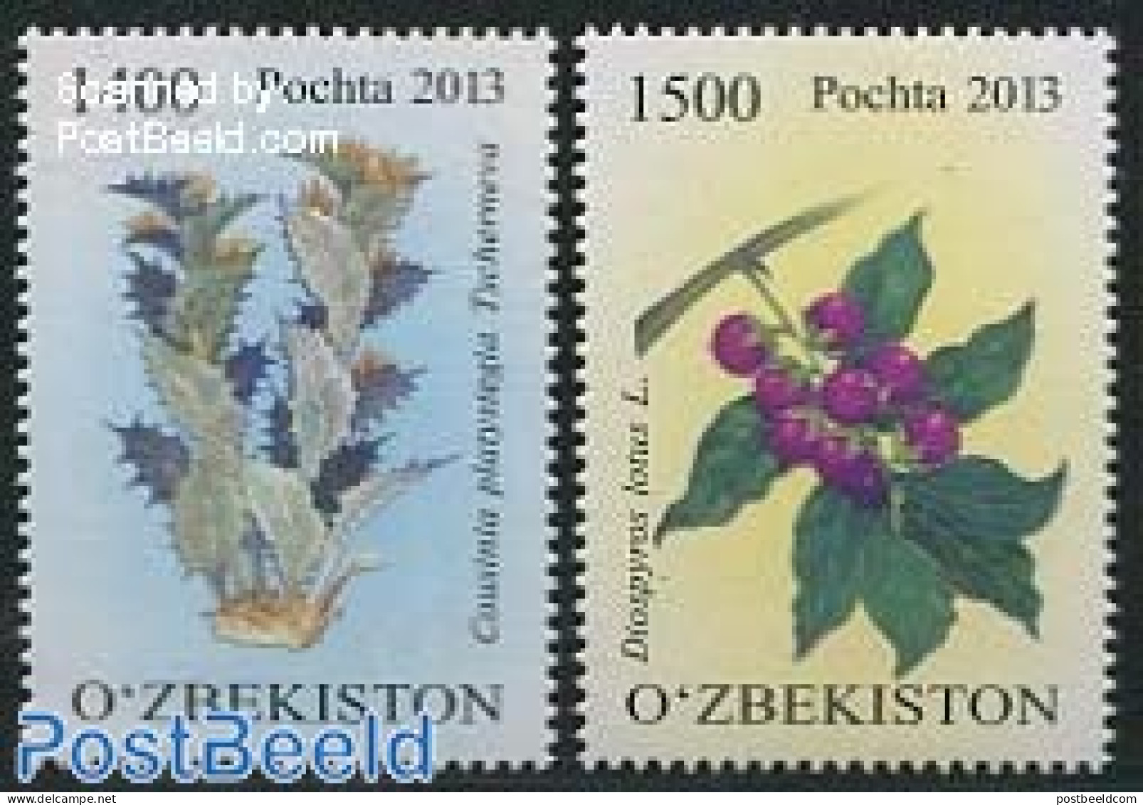Uzbekistan 2013 Flowers 2v, Mint NH, Nature - Flowers & Plants - Uzbekistán