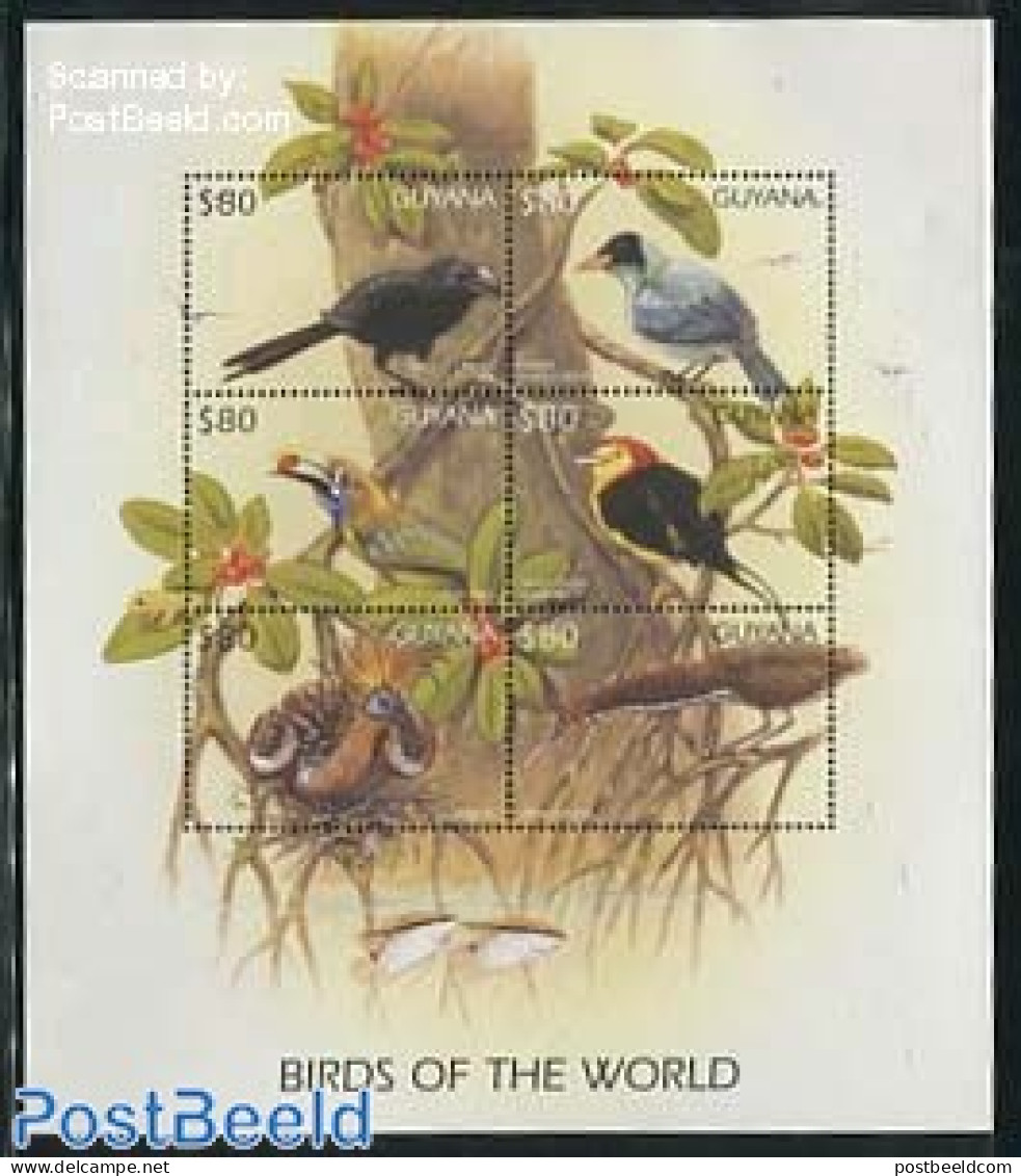 Guyana 1997 Birds 6v M/s, Mint NH, Nature - Birds - Guyane (1966-...)