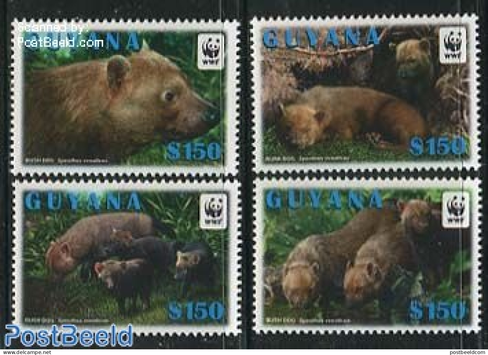Guyana 2011 WWF, Bush Dog 4v, Mint NH, Nature - Animals (others & Mixed) - World Wildlife Fund (WWF) - Guyana (1966-...)
