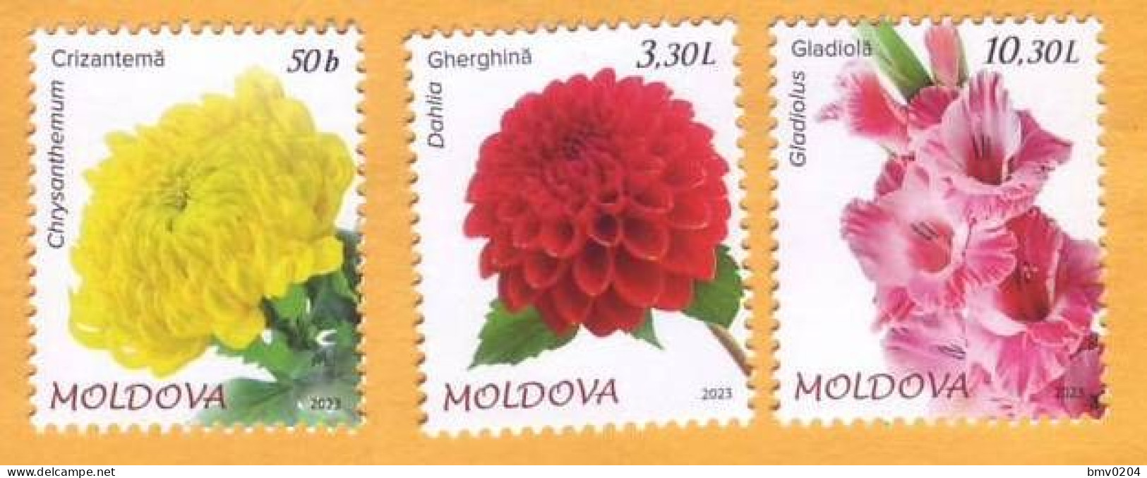 2023  Moldova   „Flora. Garden Flowers.”    Chrysanthemum, Dahlia, Gladiolus  3v Mint - Moldawien (Moldau)