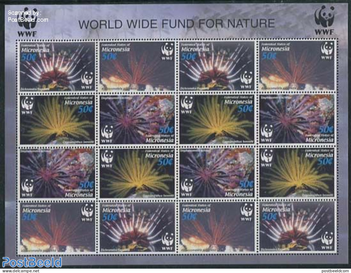 Micronesia 2005 WWF, Corals M/s With 4 Sets, Mint NH, Nature - World Wildlife Fund (WWF) - Micronesia