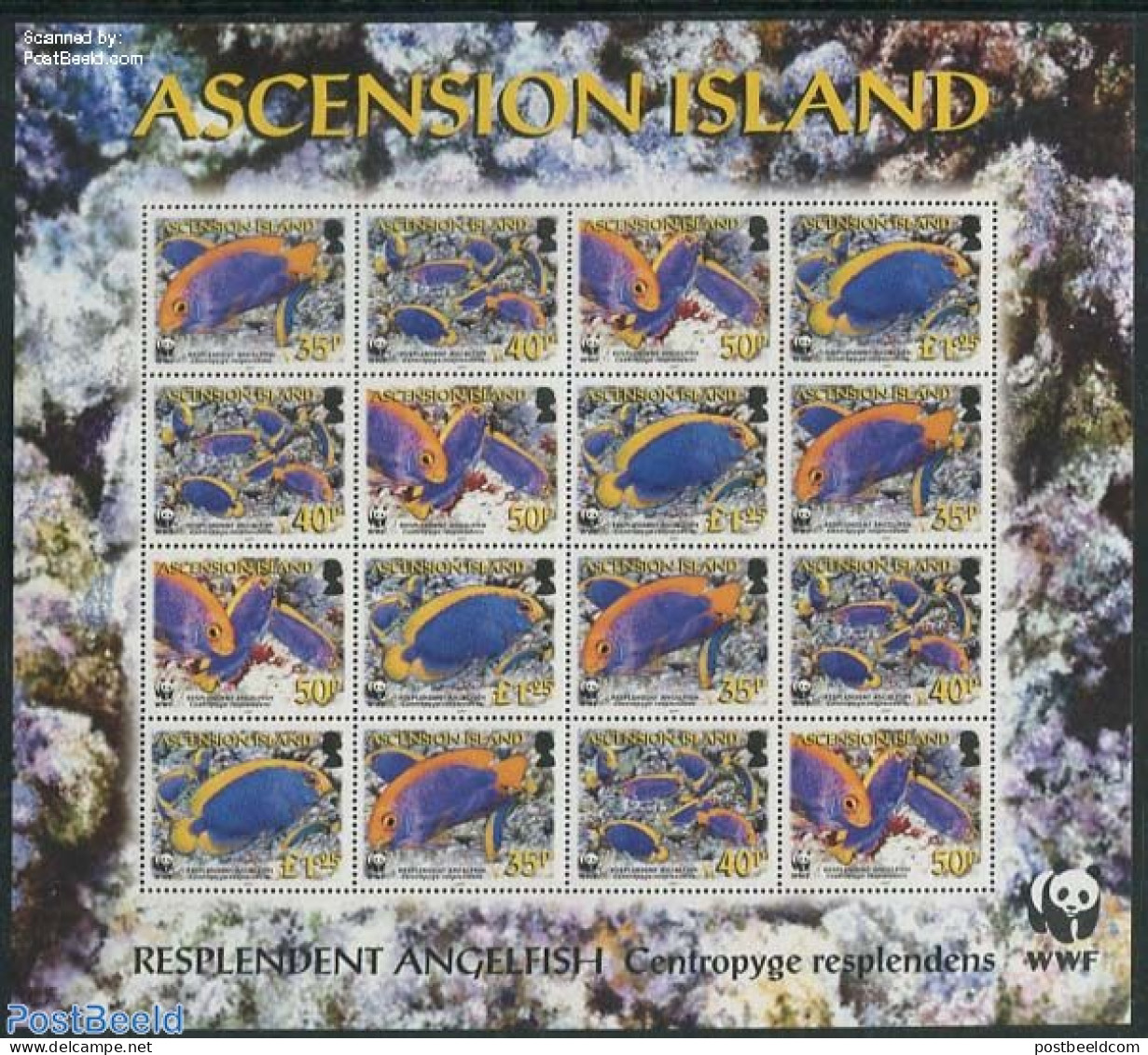 Ascension 2007 WWF, Angel Fish 4x4v M/s, Mint NH, Nature - Birds - World Wildlife Fund (WWF) - Ascensione