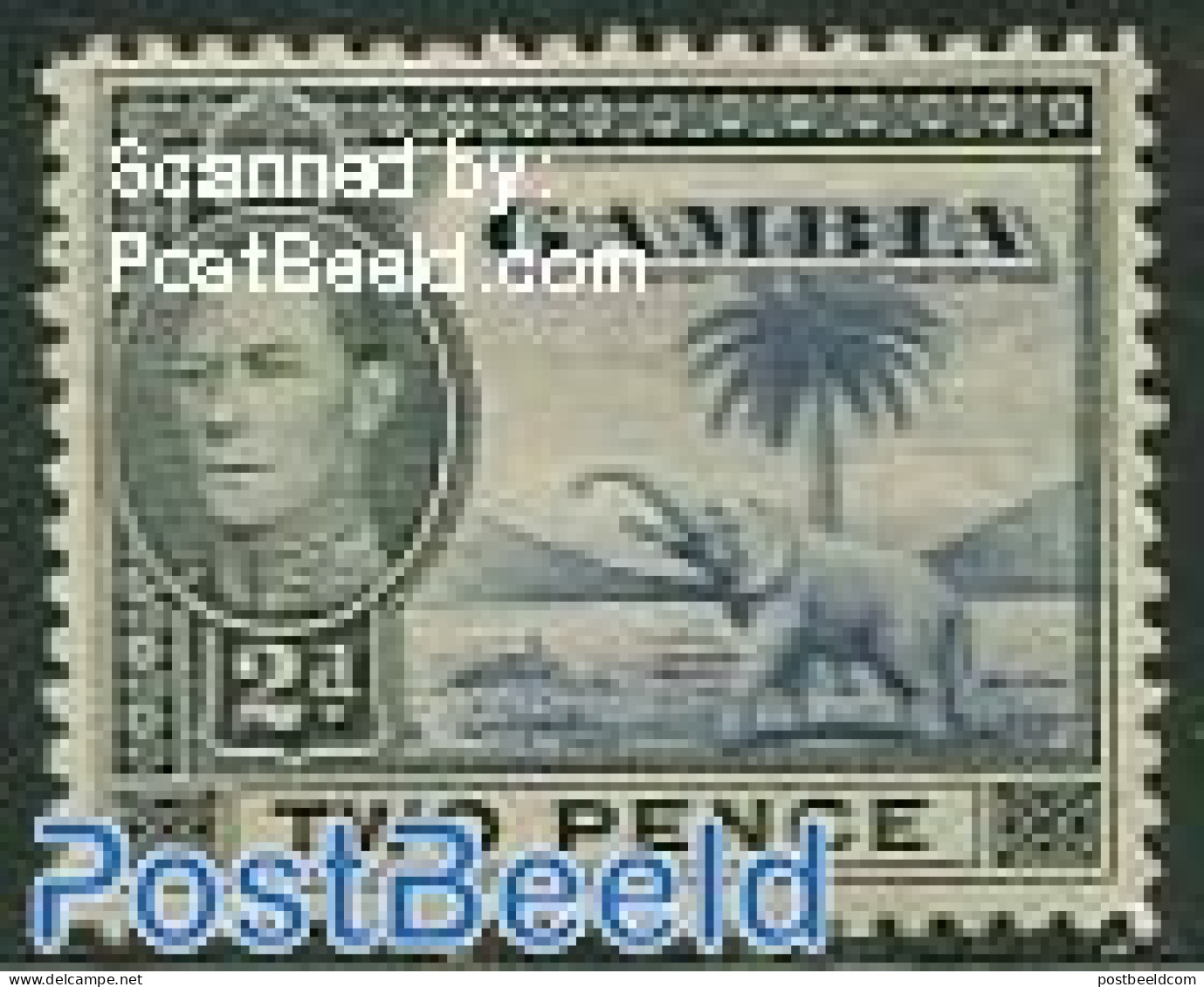 Gambia 1938 2p, Stamp Out Of Set, Mint NH, Nature - Elephants - Gambia (...-1964)