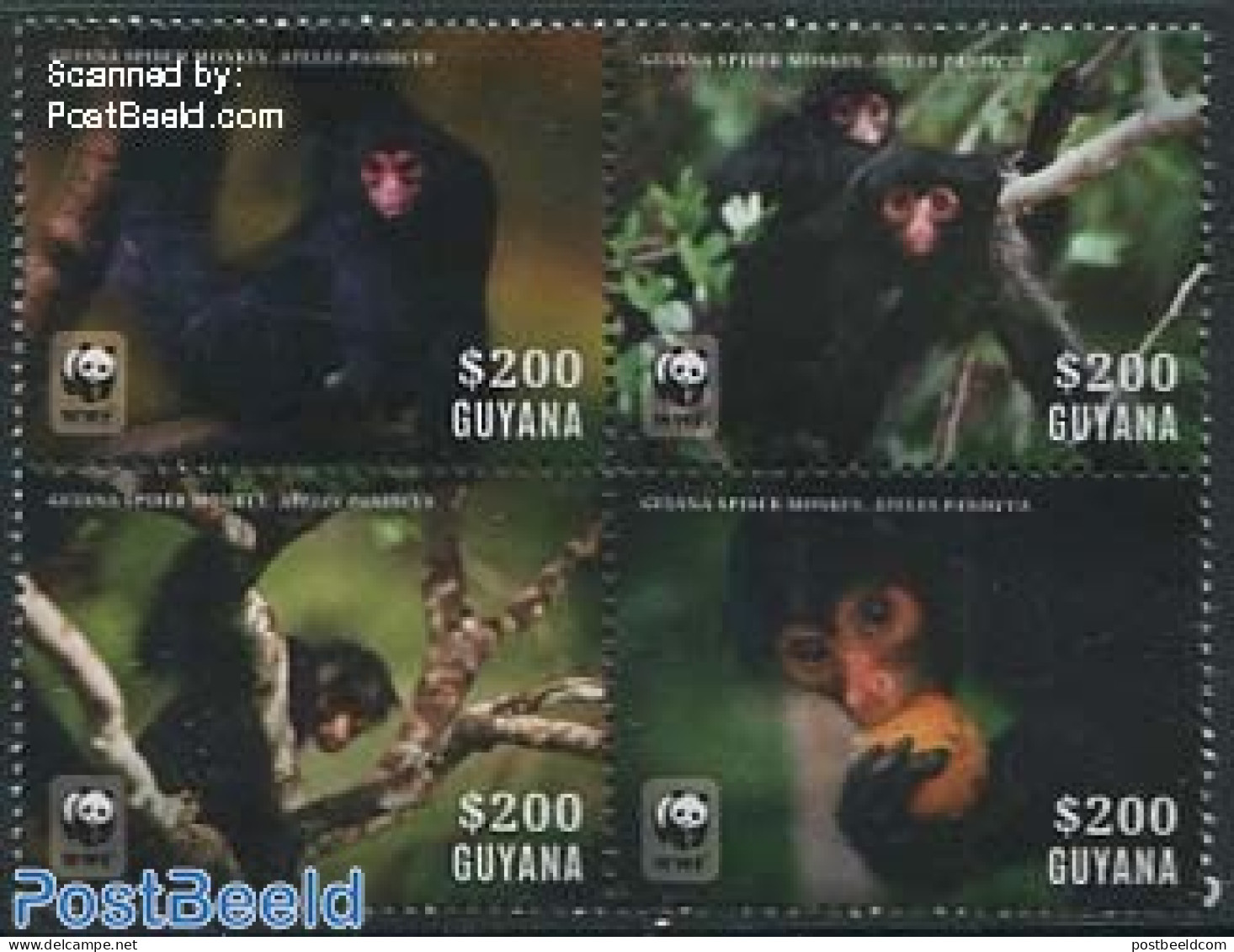 Guyana 2014 WWF, Guiana Spider Monkey 4v [+] Or [:::], Mint NH, Nature - Animals (others & Mixed) - Monkeys - World Wi.. - Guyane (1966-...)