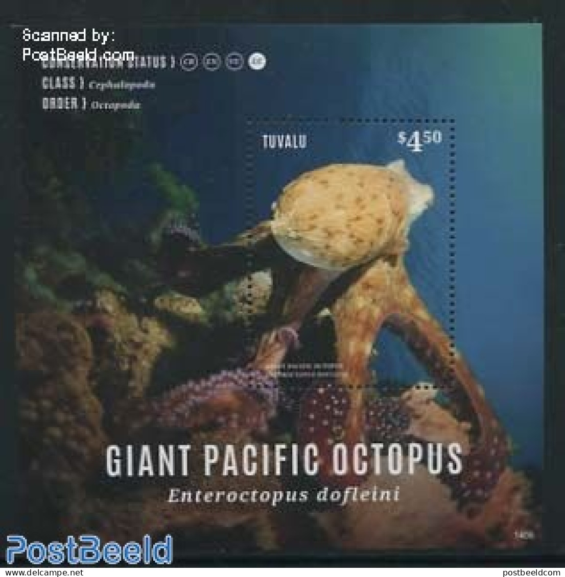 Tuvalu 2014 Giant Pacific Octopus S/s, Mint NH, Nature - Fish - Fische