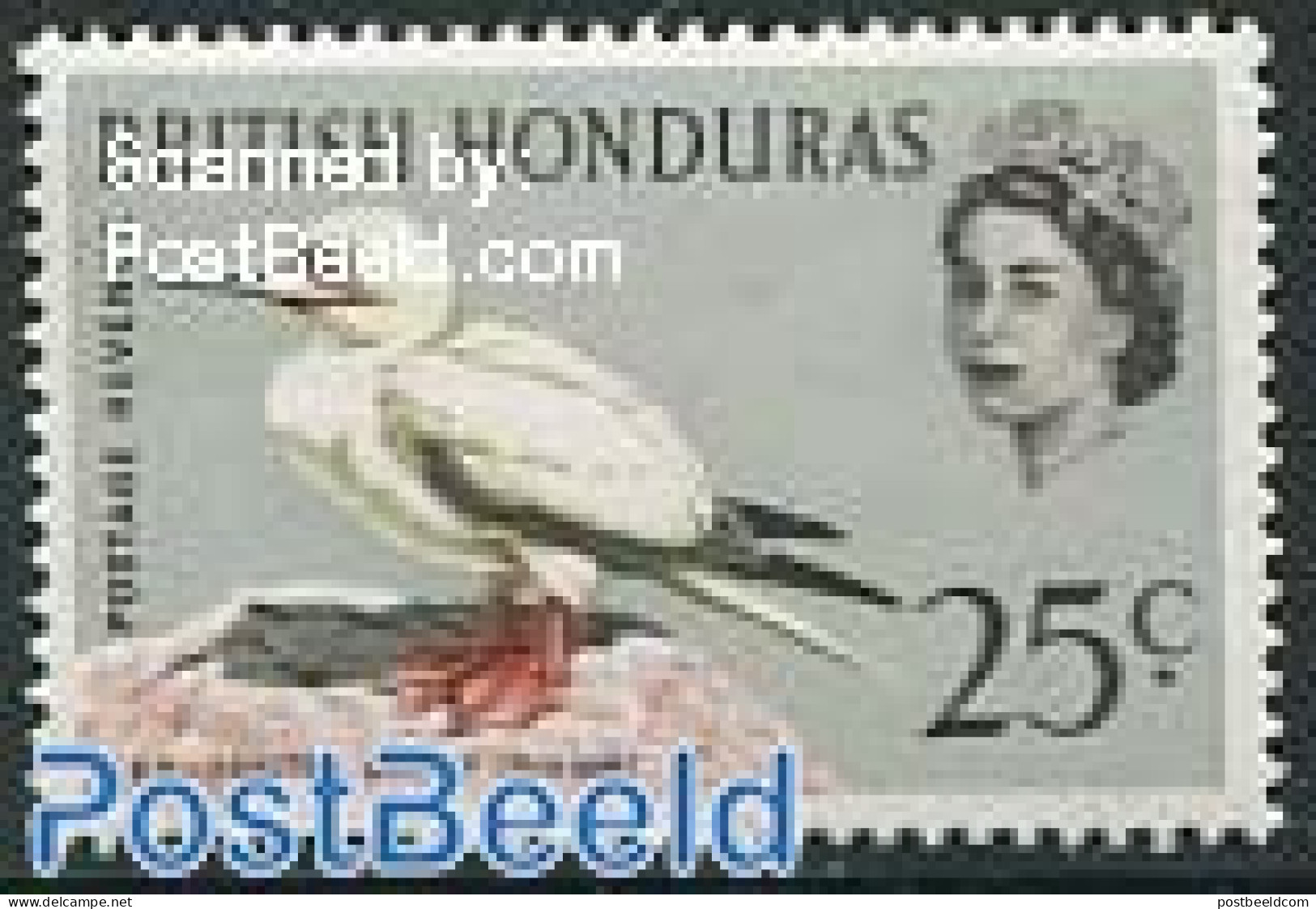 Belize/British Honduras 1962 25c, Stamp Out Of Set, Mint NH, Nature - Birds - British Honduras (...-1970)