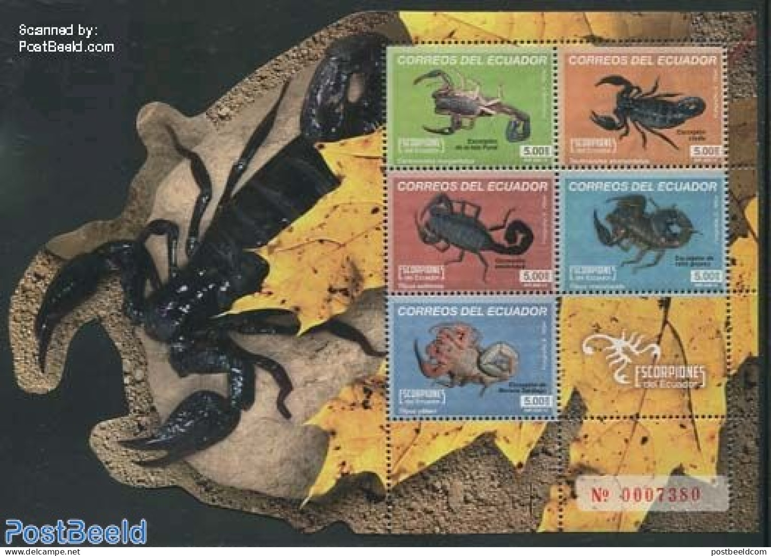 Ecuador 2014 Scorpions 5v M/s, Mint NH, Nature - Animals (others & Mixed) - Ecuador