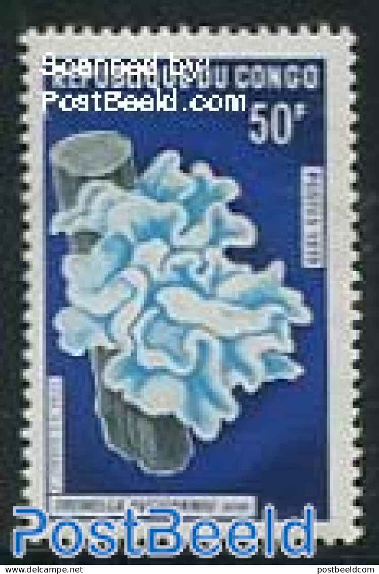 Congo Republic 1970 50F, Stamp Out Of Set, Mint NH, Nature - Altri & Non Classificati