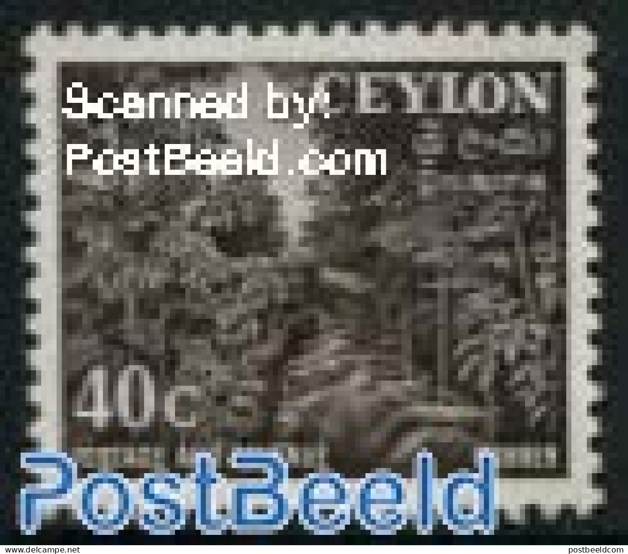 Sri Lanka (Ceylon) 1951 40c, Stamp Out Of Set, Mint NH, Nature - Sri Lanka (Ceylon) (1948-...)