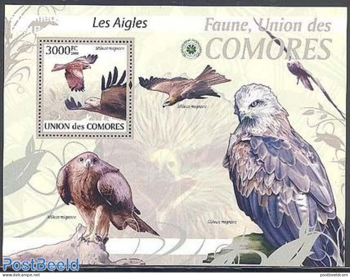 Comoros 2009 Eagles S/s, Mint NH, Nature - Birds - Birds Of Prey - Comores (1975-...)
