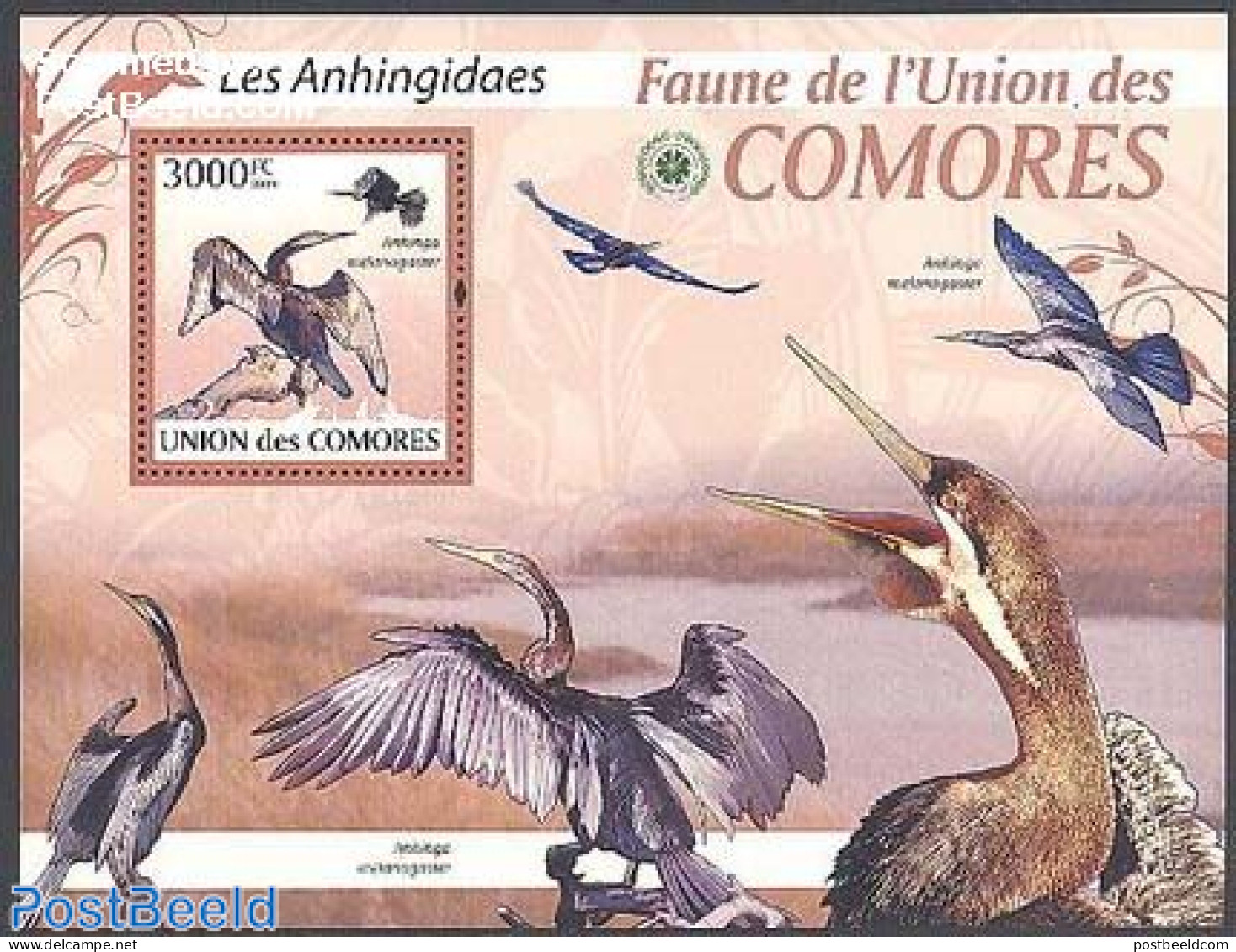 Comoros 2009 Albatross S/s, Mint NH, Nature - Birds - Comores (1975-...)