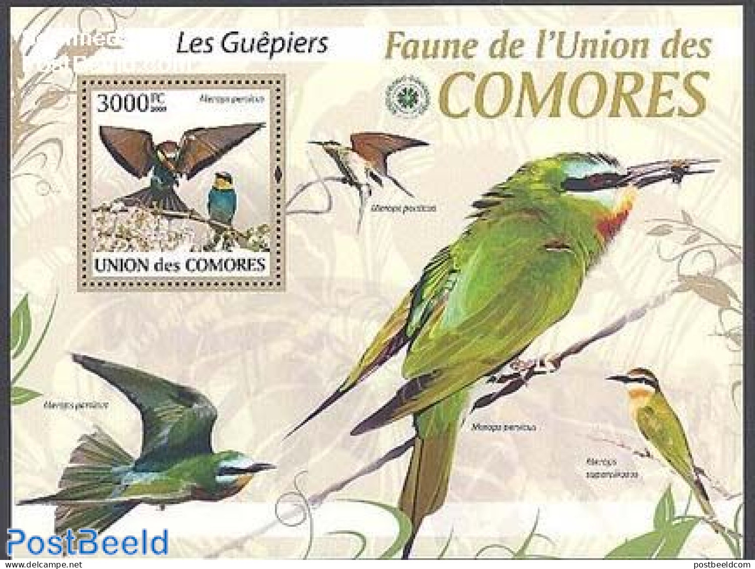 Comoros 2009 Bee Eater S/s, Mint NH, Nature - Birds - Isole Comore (1975-...)
