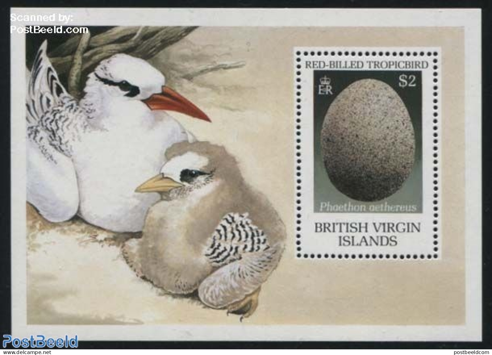 Virgin Islands 1990 Phaeton Aethereus S/s, Mint NH, Nature - Birds - Iles Vièrges Britanniques