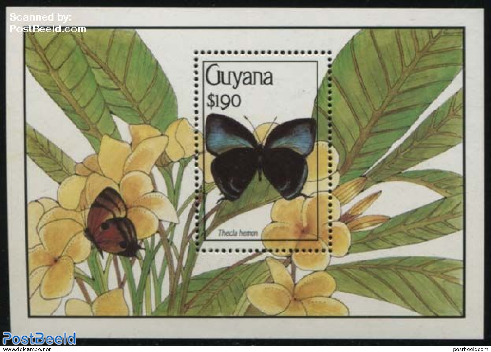 Guyana 1990 Thecla Hemon S/s, Mint NH, Nature - Butterflies - Guyane (1966-...)