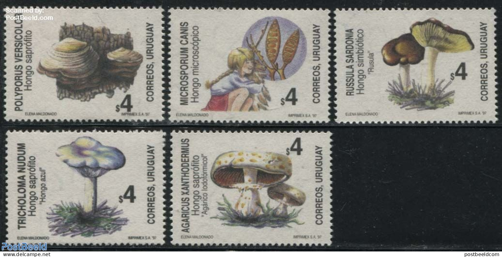 Uruguay 1997 Mushrooms 5v, Mint NH, Nature - Mushrooms - Mushrooms