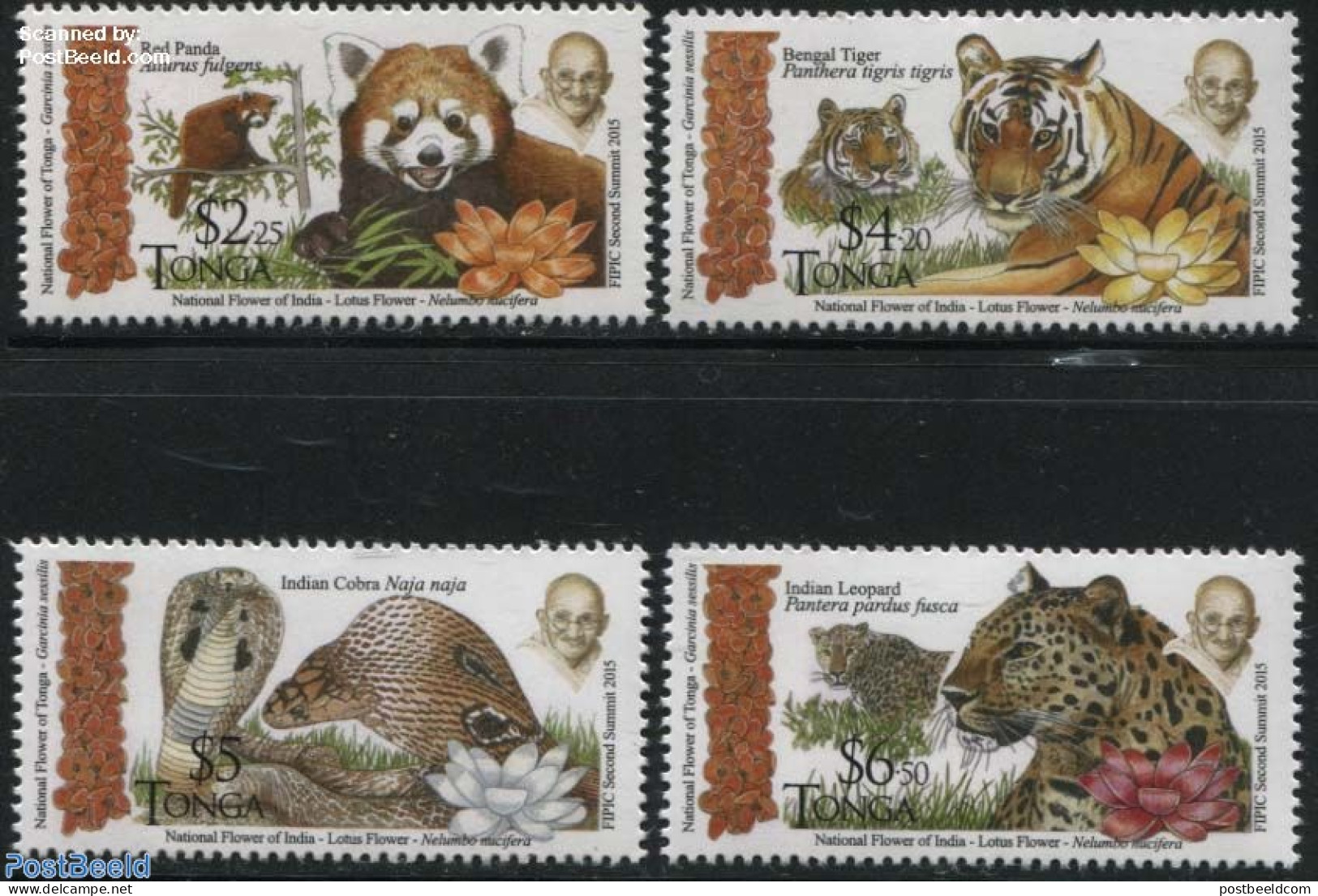 Tonga 2016 Animals Of India 4v, Mint NH, History - Nature - Gandhi - Animals (others & Mixed) - Cat Family - Flowers &.. - Mahatma Gandhi