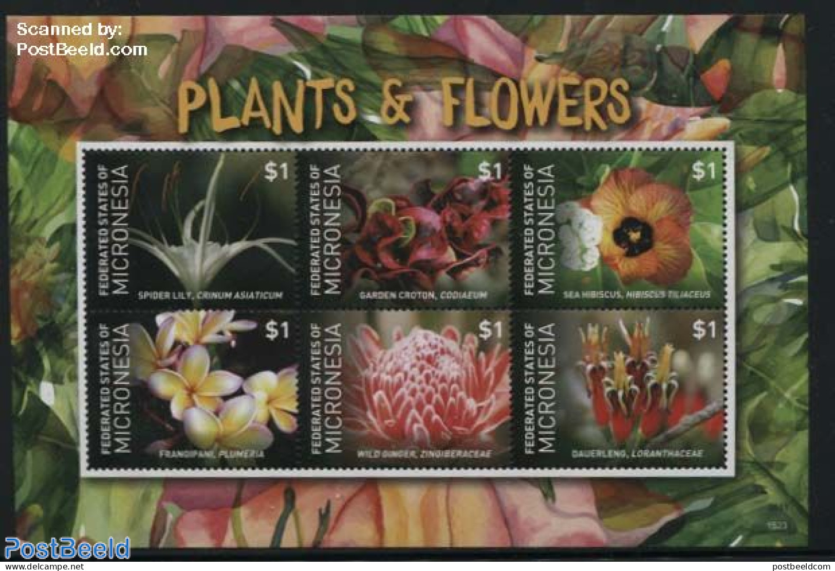 Micronesia 2015 Plants & Flowers 6v M/s, Mint NH, Nature - Flowers & Plants - Micronésie
