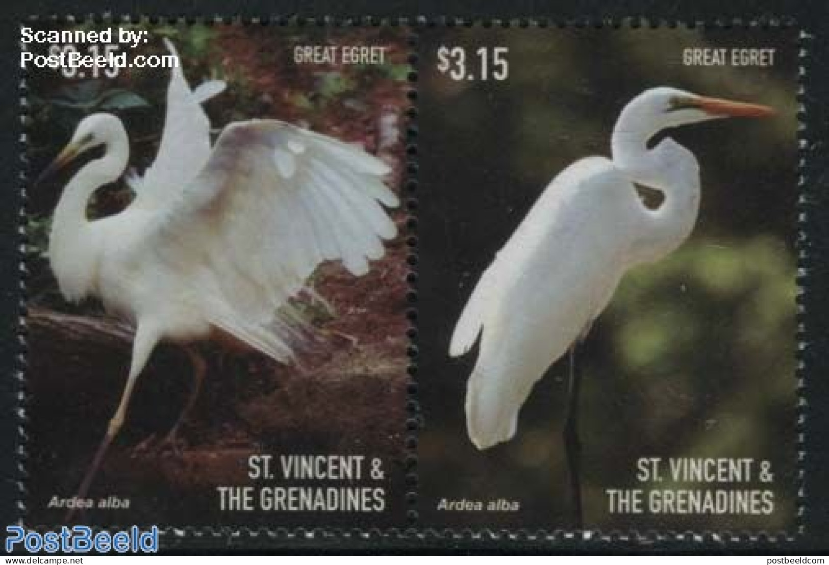 Saint Vincent 2015 Great Egret 2v [:], Mint NH, Nature - Birds - St.Vincent (1979-...)