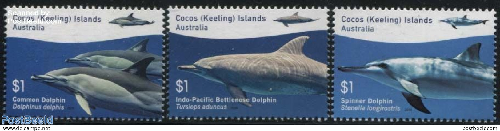 Cocos Islands 2016 Dolphins 3v, Mint NH, Nature - Sea Mammals - Kokosinseln (Keeling Islands)