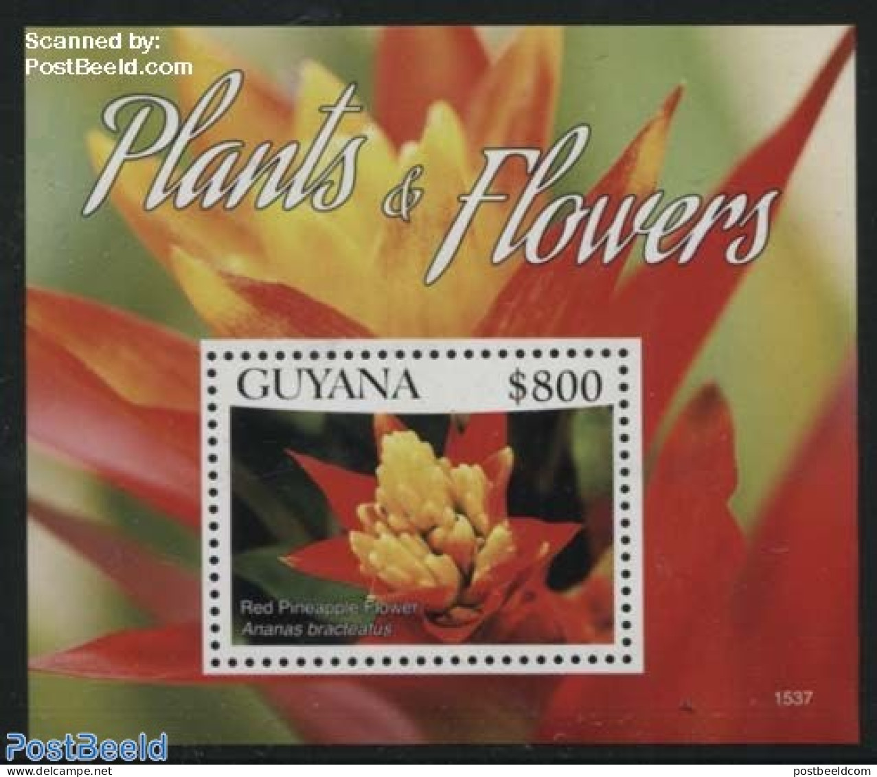 Guyana 2015 Plants & Flowers S/s, Mint NH, Nature - Flowers & Plants - Guyane (1966-...)