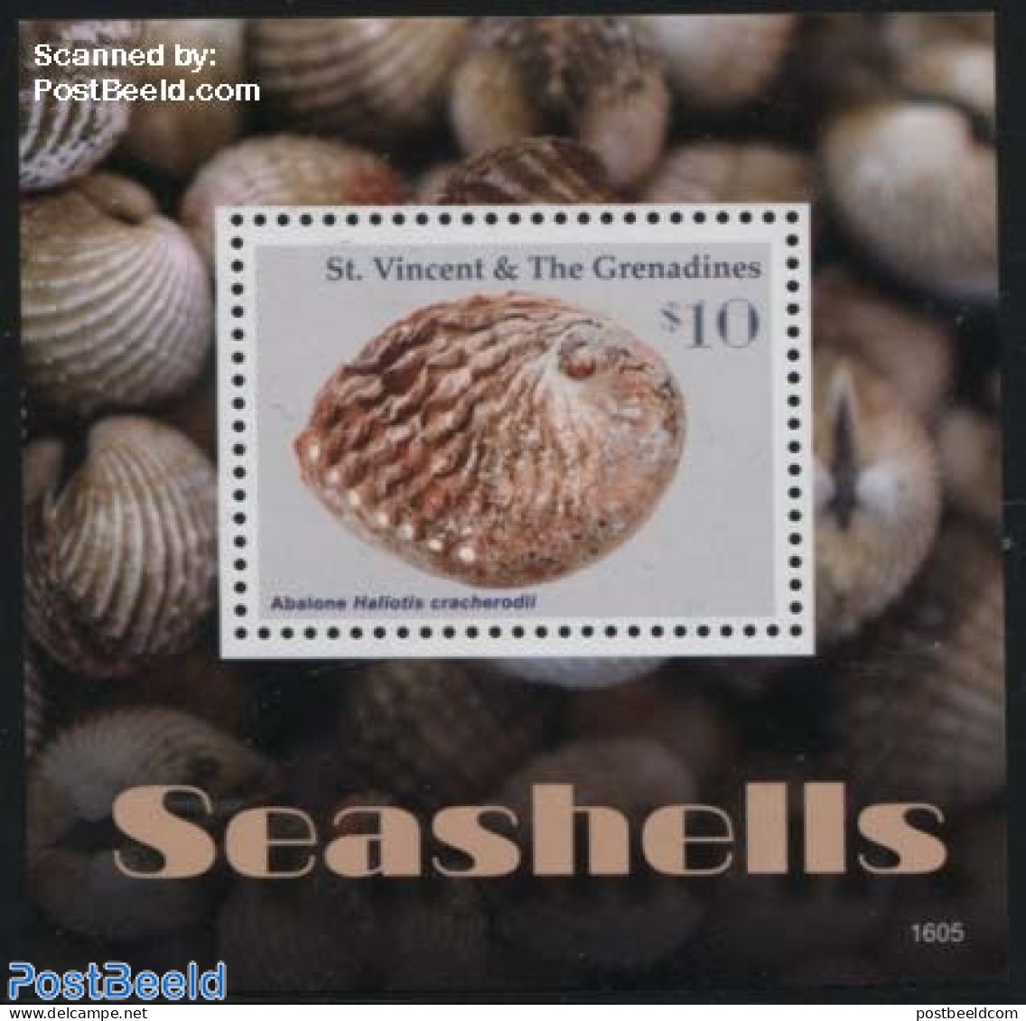 Saint Vincent 2016 Seashells S/s, Mint NH, Nature - Shells & Crustaceans - Marine Life