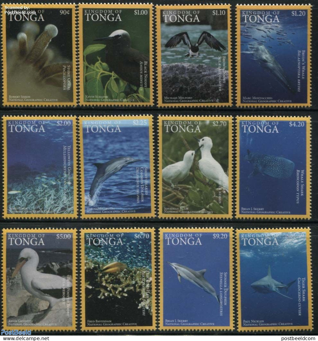 Tonga 2016 Ocean Wildlife 12v, Mint NH, Nature - Animals (others & Mixed) - Birds - Fish - Sea Mammals - Sharks - Fishes