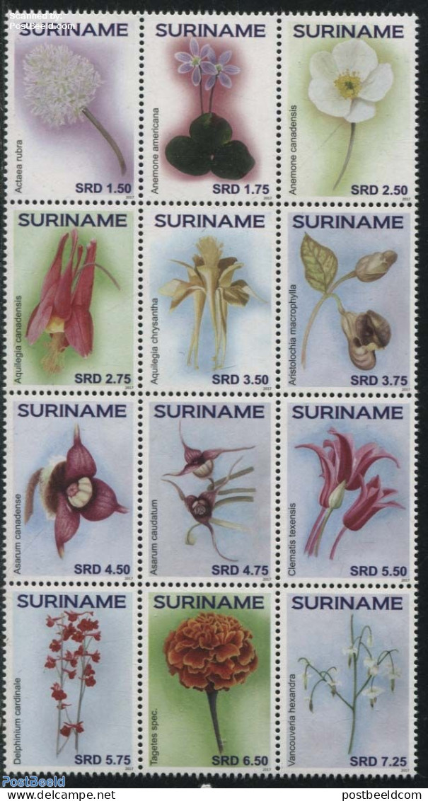 Suriname, Republic 2017 Flowers 12v Sheetlet, Mint NH, Nature - Flowers & Plants - Suriname