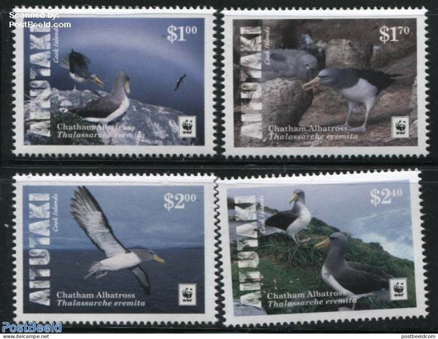 Aitutaki 2016 WWF, Chatham Albatross 4v (with White Borders), Mint NH, Nature - Birds - World Wildlife Fund (WWF) - Aitutaki