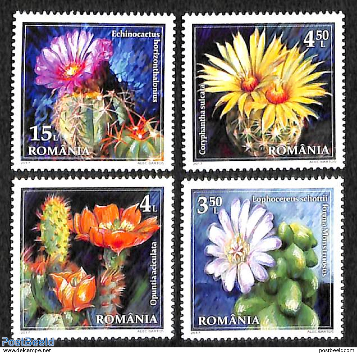 Romania 2017 Cactus Flowers 4v, Mint NH, Nature - Cacti - Flowers & Plants - Nuevos
