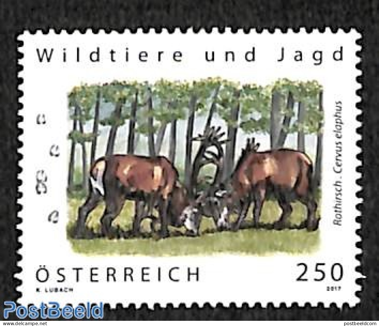Austria 2017 Wild Animals And Hunting 1v, Mint NH, Nature - Animals (others & Mixed) - Deer - Hunting - Wild Mammals - Nuevos